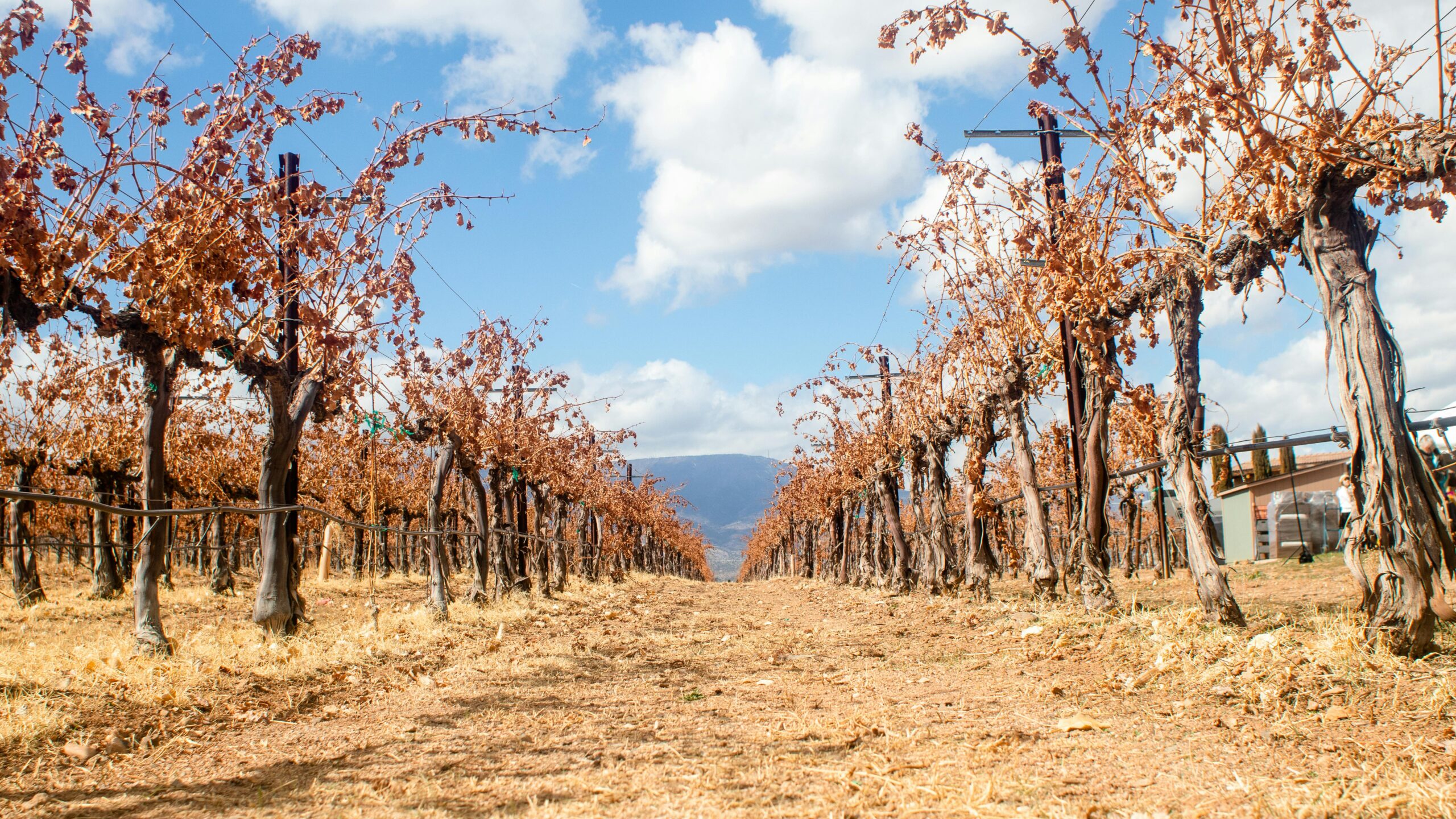 Junín, Mendoza: El Oasis del Este Mendocino