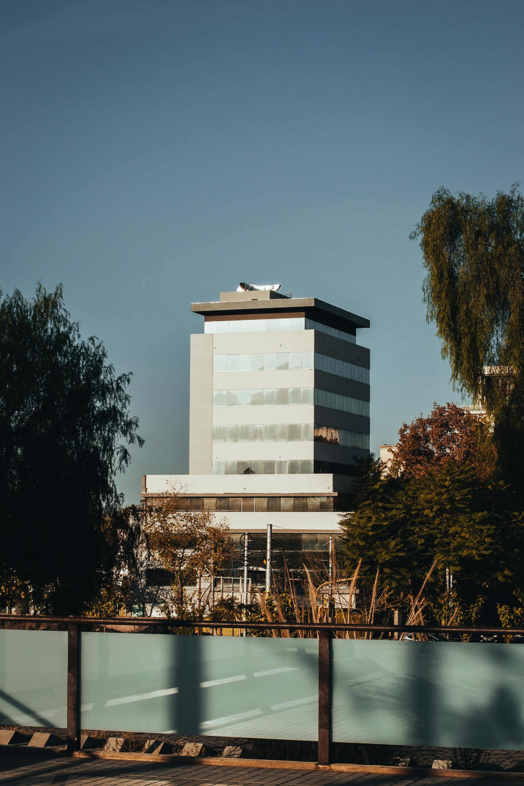 Explorando la Ciencia en Mendoza: Del Observatorio Pierre Auger a la Biotecnología de Vanguardia